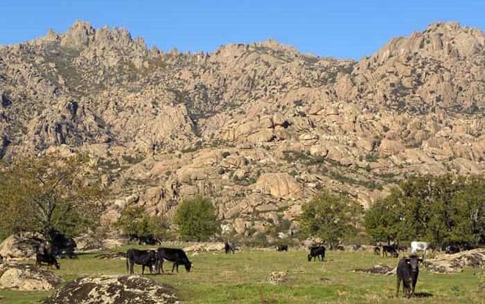 La importancia del agua en los pueblos de la Cuenca Alta del Manzanares