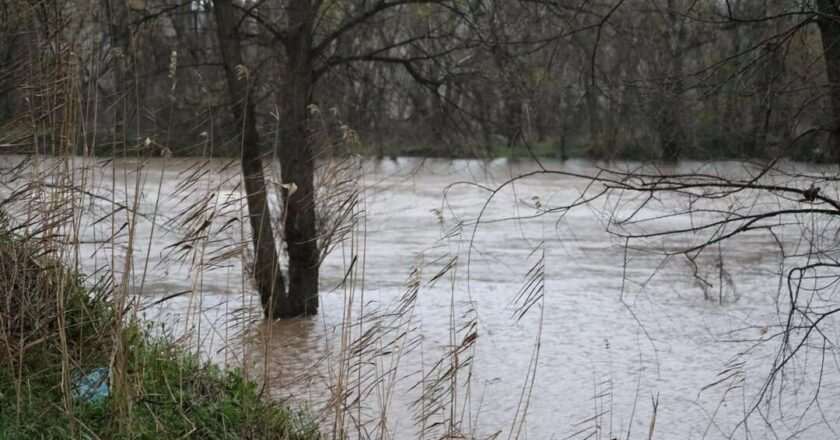Ríos de Madrid: Estabilidad en sus cauces, pero las inundaciones persisten por días