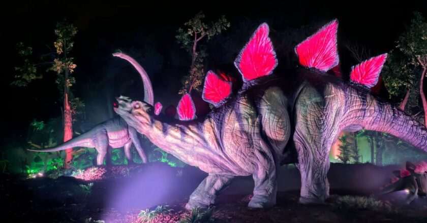 Descubre la increíble exposición de dinosaurios en Madrid: la más grande de Europa