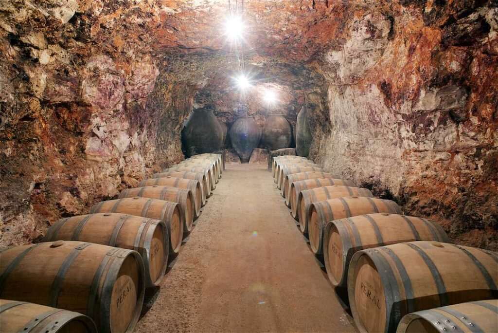 Descubre la primera Ruta del Vino en tren de Cercanías Madrid a partir del 10 de abril