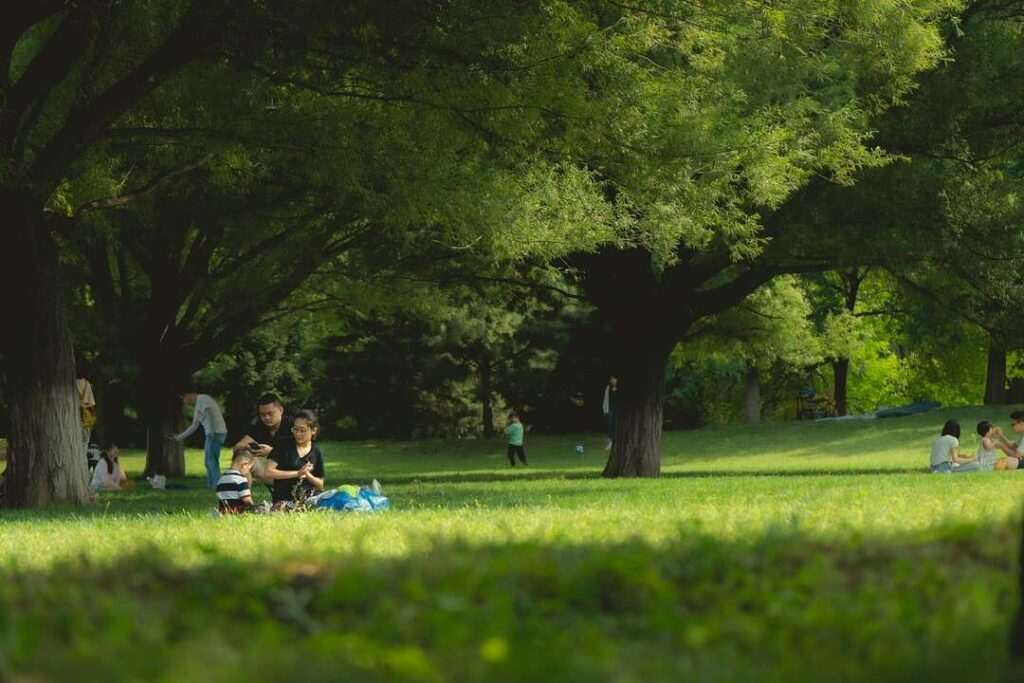 Descubre las experiencias inolvidables que Madrid tiene preparadas para el Día de la Madre