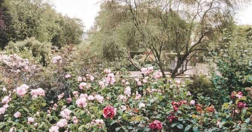Descubre los Jardines Más Encantadores de Madrid para Esta Primavera