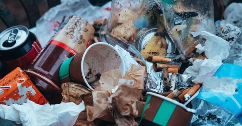 Impacto de la huelga de basuras en Madrid: descubre los días de recogida y los distritos afectados