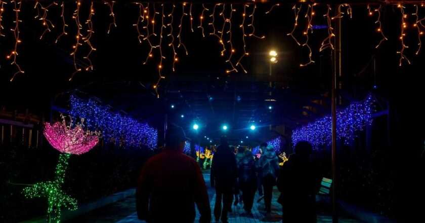 Descubre la mágica Navidad en el Parque de Santander junto al agua