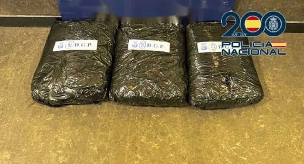 Capturan a un hombre en la Estación Sur de Madrid con cuatro kilos de marihuana en su poder