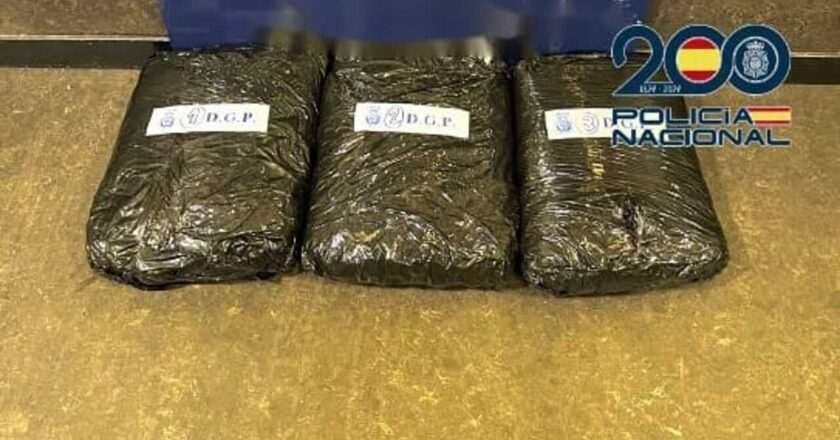 Capturan a un hombre en la Estación Sur de Madrid con cuatro kilos de marihuana en su poder