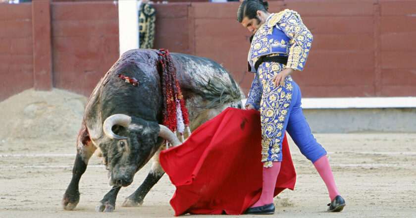 Morante y Roca Rey: Estrellas del Cartel de las Fiestas de San Fernando en Aranjuez