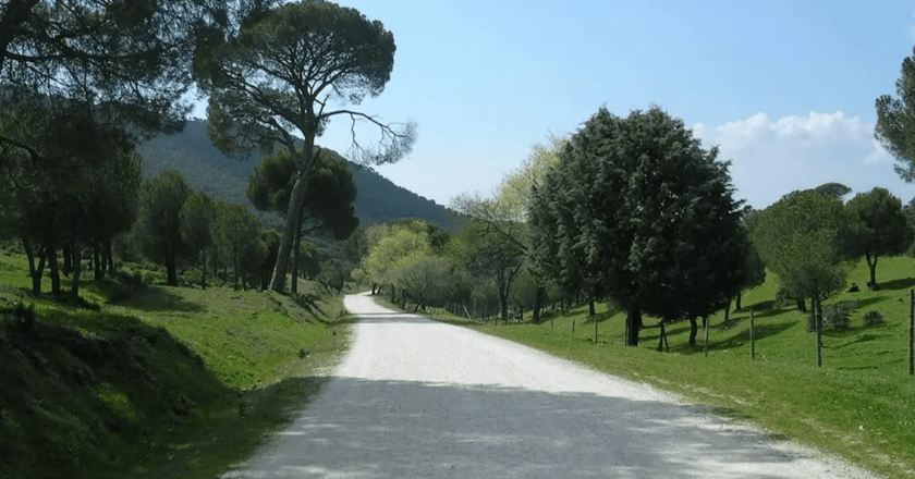 Robledo insta a los vecinos a utilizar la leña caída en el monte para prevenir incendios forestales