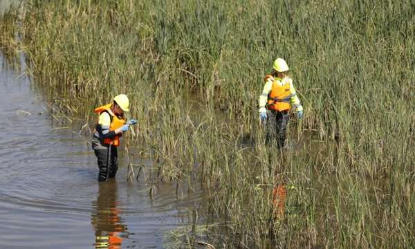 Madrid refuerza la vigilancia de la mosca negra en el Manzanares tras un año de resultados positivos