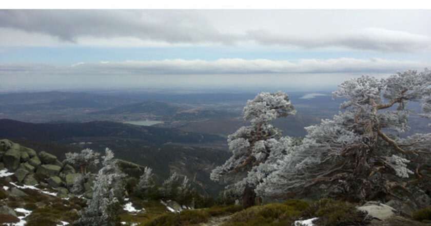Cinco personas, incluidos menores, rescatadas de un árbol en Siete Picos de Guadarrama