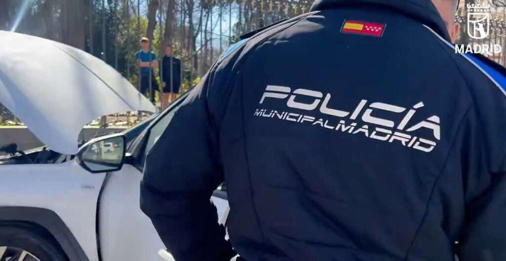 Venta clandestina de marfil expuesta en Antik Almoneda de Ifema