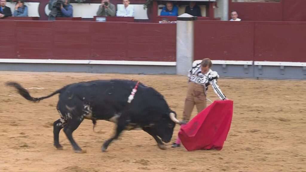 Javier Cortés Brilla en la Goyesca pero Su Faena se Ve Opacada por Fallo con la Espada