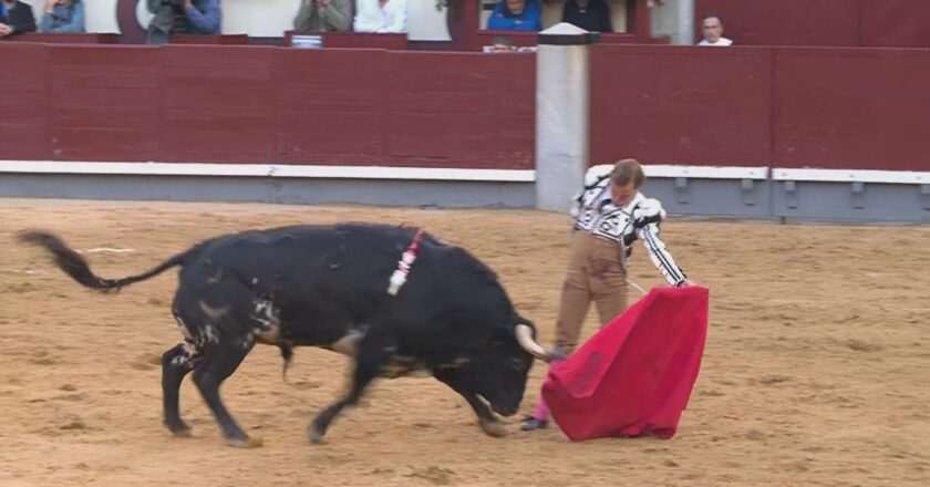 Javier Cortés Brilla en la Goyesca pero Su Faena se Ve Opacada por Fallo con la Espada