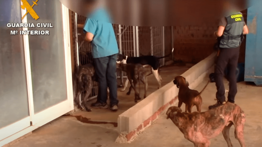 Juicio al ‘vampiro de Humanes’: Acusado de maltrato animal e intrusismo profesional