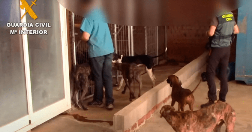 Juicio al ‘vampiro de Humanes’: Acusado de maltrato animal e intrusismo profesional