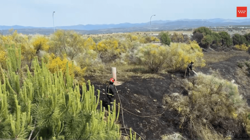 Incendio de Vegetación en la M-50: Apagan Fuego en Majadahonda con Éxito