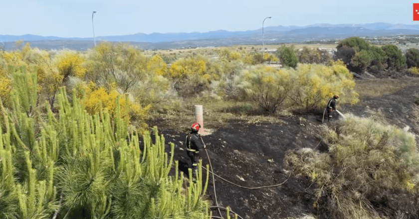 Incendio de Vegetación en la M-50: Apagan Fuego en Majadahonda con Éxito
