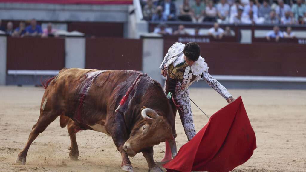 Impactante toreo al natural de Jarocho en el XVII festejo de San Isidro