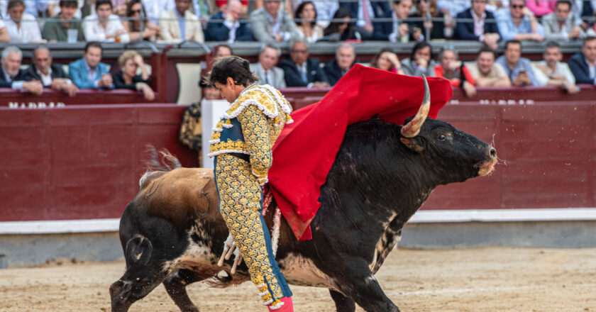 Gran Corrida de Beneficencia: Alejandro Talavante, Roca Rey y Víctor Hernández en el Evento del Año