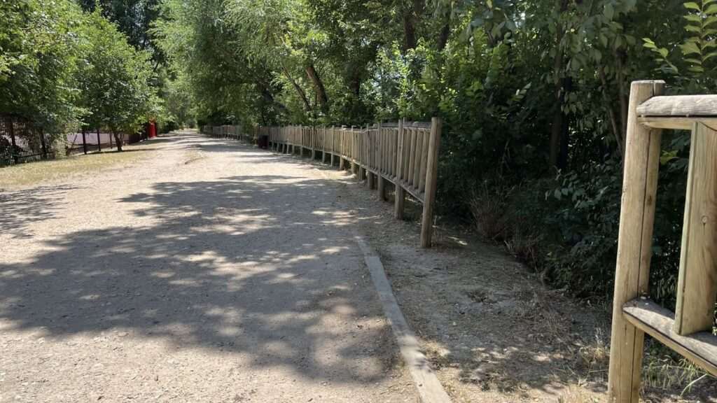 Alcalá da luz verde al ambicioso proyecto de recuperación del arroyo Camarmilla con más de 6,000 nuevas plantaciones