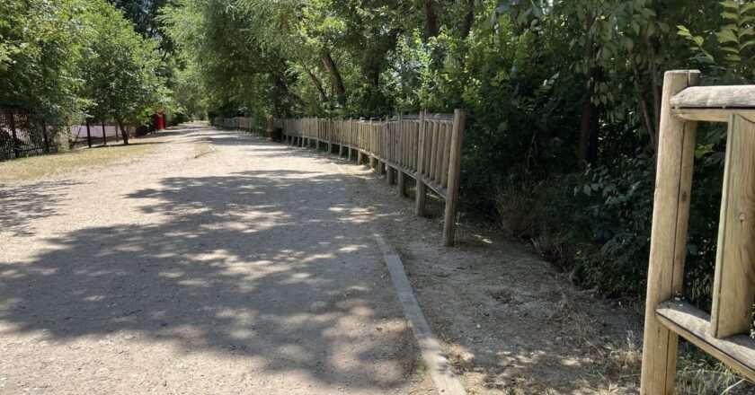 Alcalá da luz verde al ambicioso proyecto de recuperación del arroyo Camarmilla con más de 6,000 nuevas plantaciones