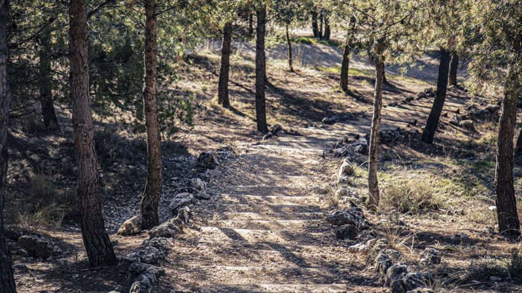 Rivas y sus vecinos revitalizan el parque Mazalmadrit: un pulmón verde de 120 hectáreas para la comunidad
