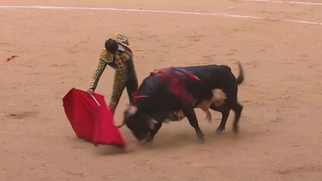 Semifinalistas de la Copa Chenel: Descubre a Alejandro Chicharro y Javier Cortés en la Gran Competencia