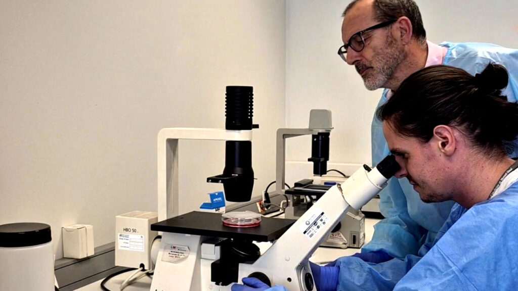Vacuna oral contra variante del Ébola demuestra eficacia en ensayos realizados en Madrid