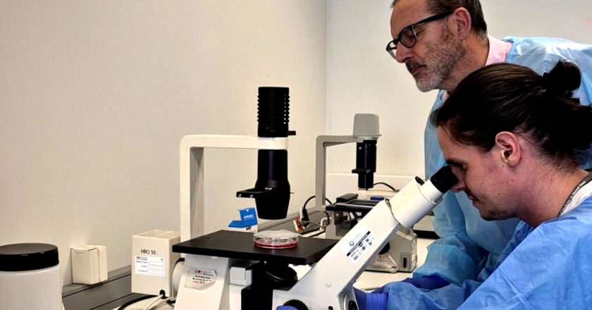 Vacuna oral contra variante del Ébola demuestra eficacia en ensayos realizados en Madrid