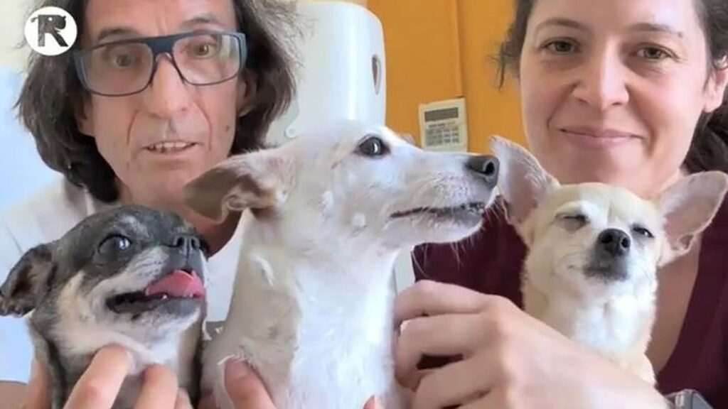 Doble Desahucio en Lacoma: Una Familia y sus Mascotas Pierden su Hogar en Fuencarral