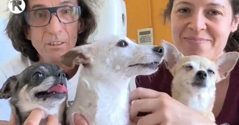 Doble Desahucio en Lacoma: Una Familia y sus Mascotas Pierden su Hogar en Fuencarral