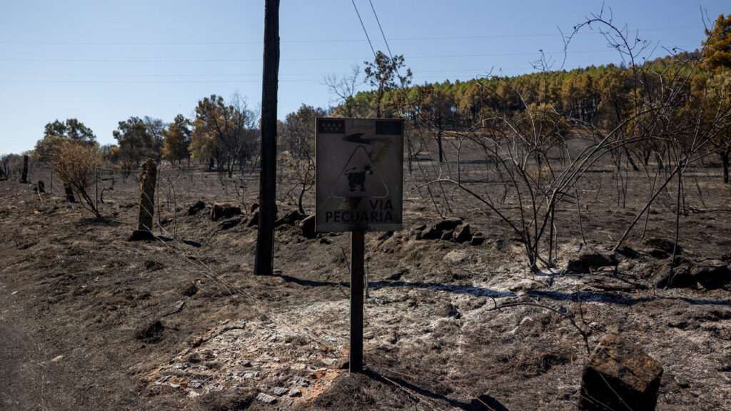Incendio en Lozoyuela: Nivel 1 y desactivación de la UME tras estabilización del fuego