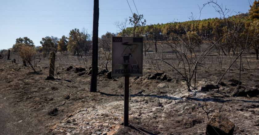 Incendio en Lozoyuela: Nivel 1 y desactivación de la UME tras estabilización del fuego