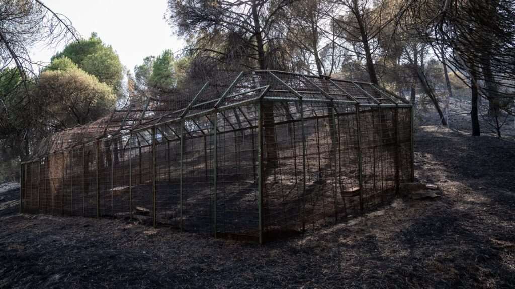 Voluntarios de Alcorcón establecen una red de apoyo para ayudar a los afectados en la Sierra Oeste de Madrid y Ávila