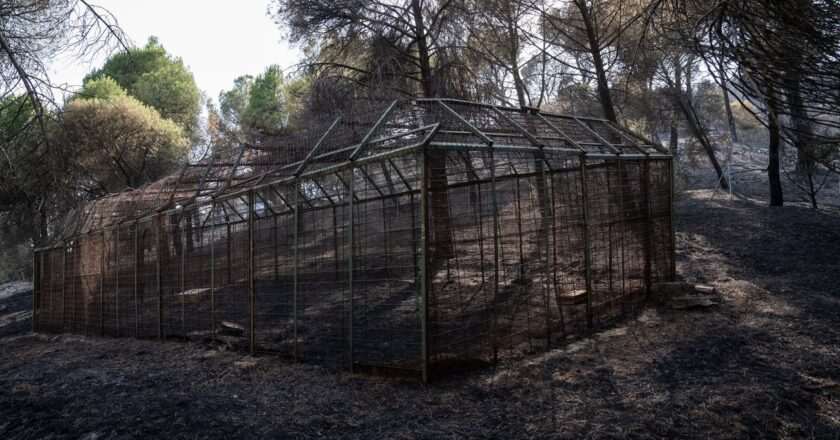 Voluntarios de Alcorcón establecen una red de apoyo para ayudar a los afectados en la Sierra Oeste de Madrid y Ávila
