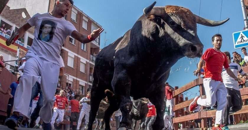 Guía Completa de Normas, Horarios y Recorrido de los Encierros de Sanse 2023