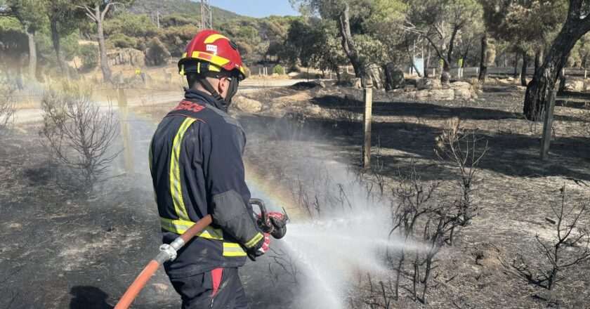 Incendio en la Sierra Madrileña: Más de 20 Dotaciones Luchan para Controlar la Situación sin Reproducciones