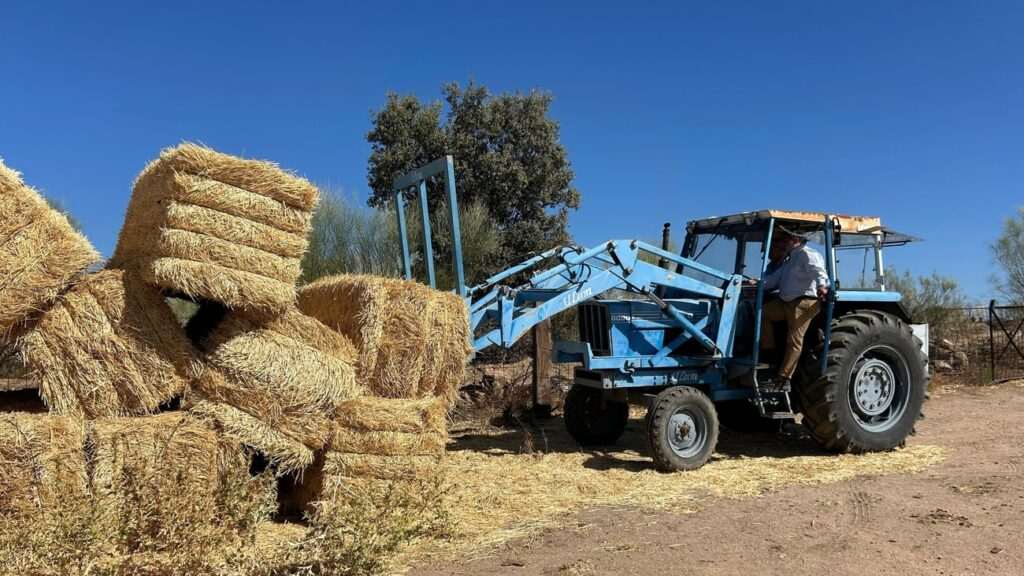 Medio millón de kilos de forraje para apoyar a ganaderías afectadas por el incendio en la Sierra Oeste