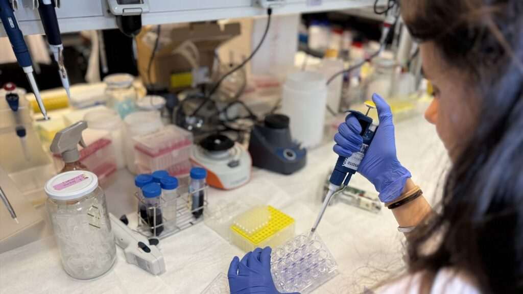 Descubren la proteína MAFG en La Paz: clave en la agresividad del melanoma