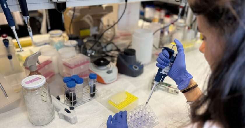 Descubren la proteína MAFG en La Paz: clave en la agresividad del melanoma