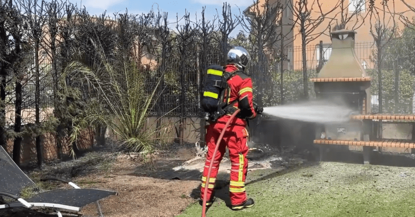 Prohibición de arizónicas en parcelas cercanas a zonas forestales: lo que necesitas saber