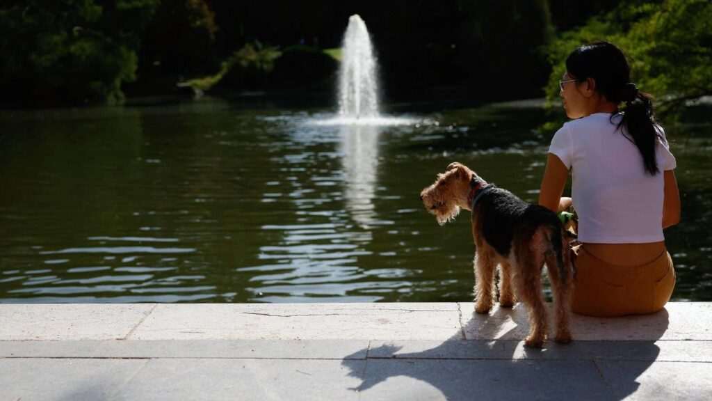 Madrid se alista para un caluroso domingo: 38ºC y tormentas vespertinas en la sierra