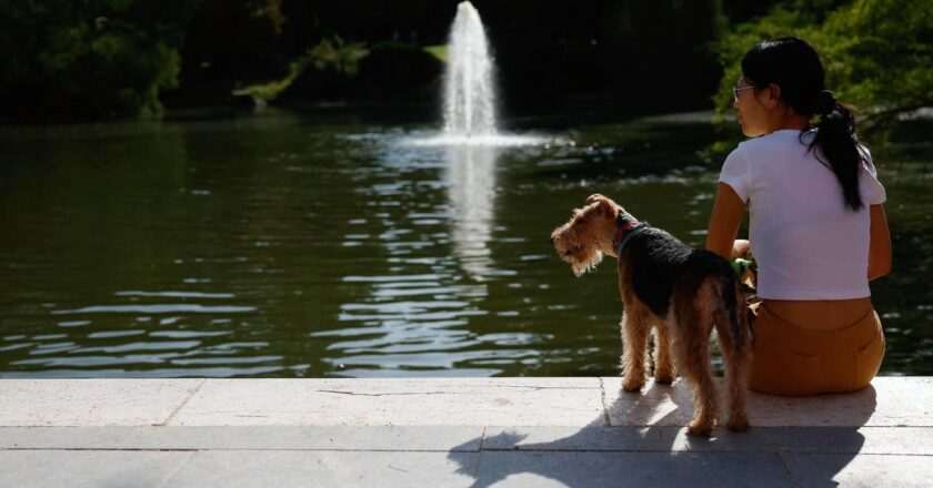Madrid se alista para un caluroso domingo: 38ºC y tormentas vespertinas en la sierra