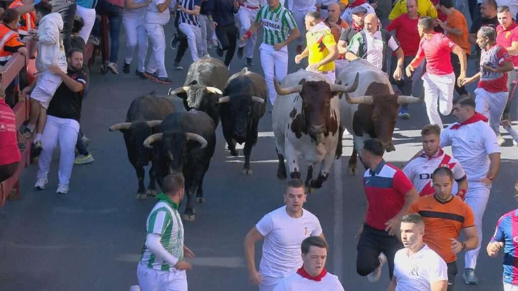 Sexto Encierro de San Sebastián de los Reyes: 2.200 Corredores y Seis Heridos Leves en una Carrera de 1:43 Minutos