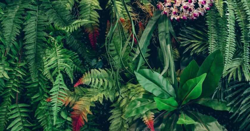 Cuidado y bienestar para tus plantas en el Círculo de Bellas Artes