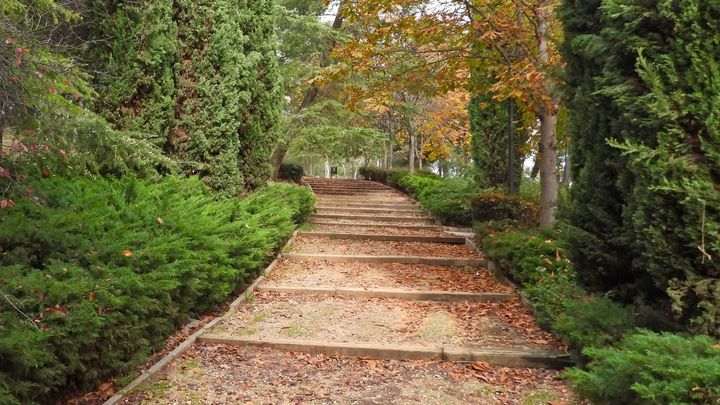 Madrid renombra el parque de Caramuel en honor al papa Francisco