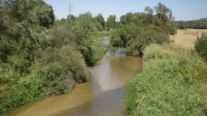 Cargos de ayuntamientos de la ribera del Guadarrama citados a declarar por contaminación del río