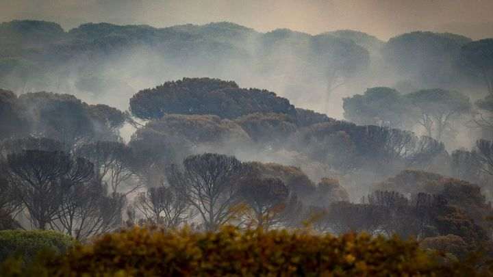 Protesta en San Martín de Valdeiglesias contra la tala indiscriminada en la Sierra Oeste