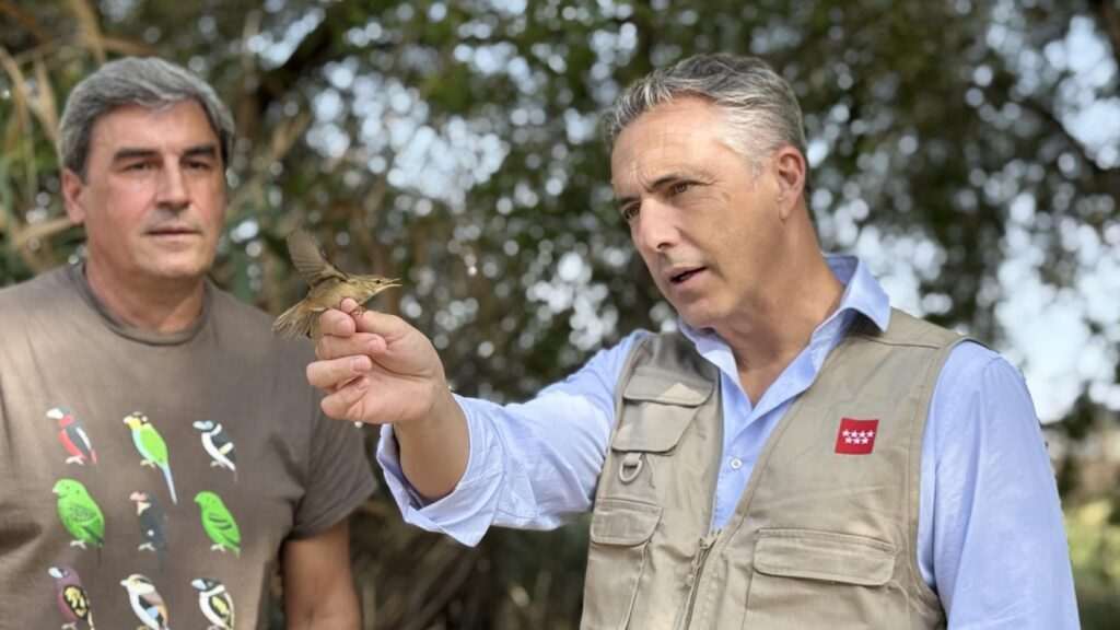 La Comunidad de Madrid lanza una red de observatorios de fauna silvestre con 60 puntos en áreas naturales