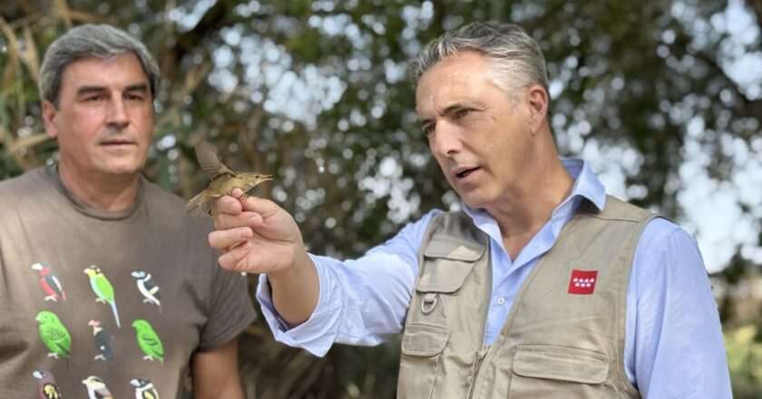 La Comunidad de Madrid lanza una red de observatorios de fauna silvestre con 60 puntos en áreas naturales
